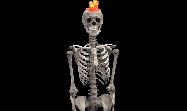 Mortician vs Coroner: Roles, Duties, and Key Differences